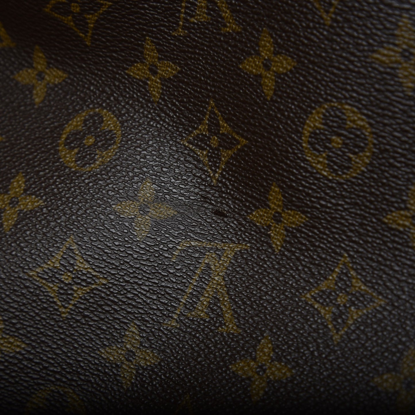 Monogram Garment Bag