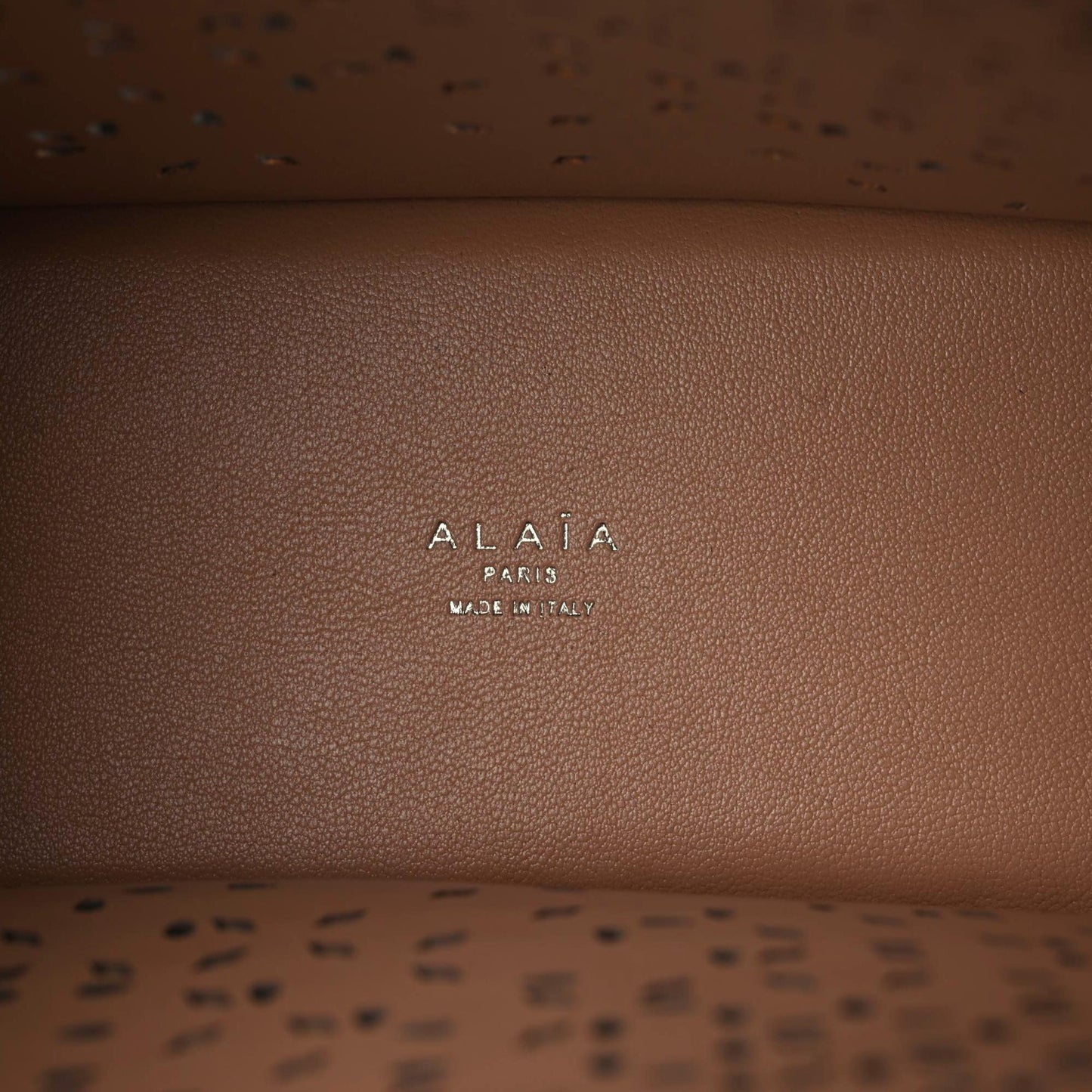 Calfskin Laser Cut Degrade Bijou Fiori Tote Tourterelle