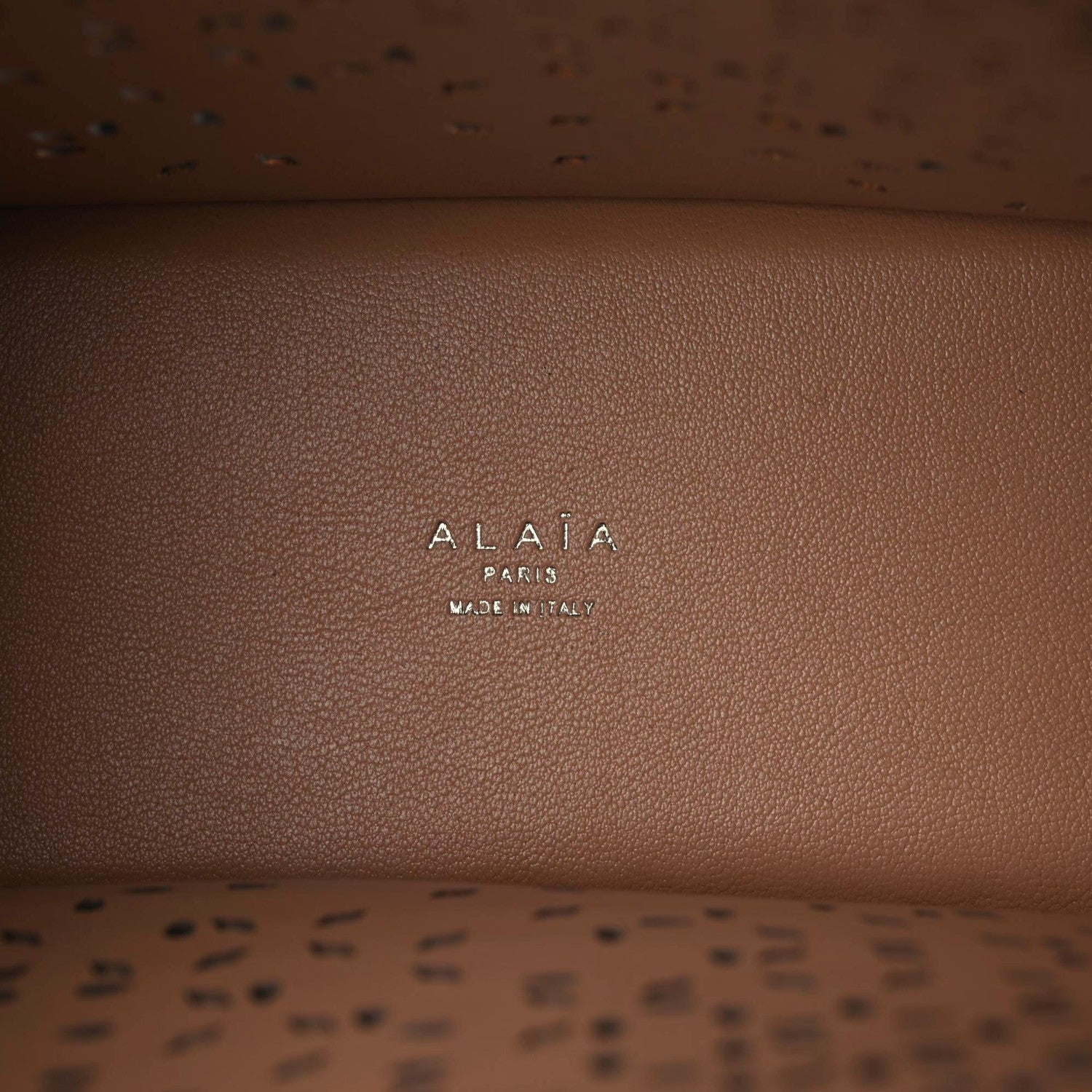Alaia Calfskin Laser Cut Degrade Bijou Fiori Tote Tourterelle 9 of 9