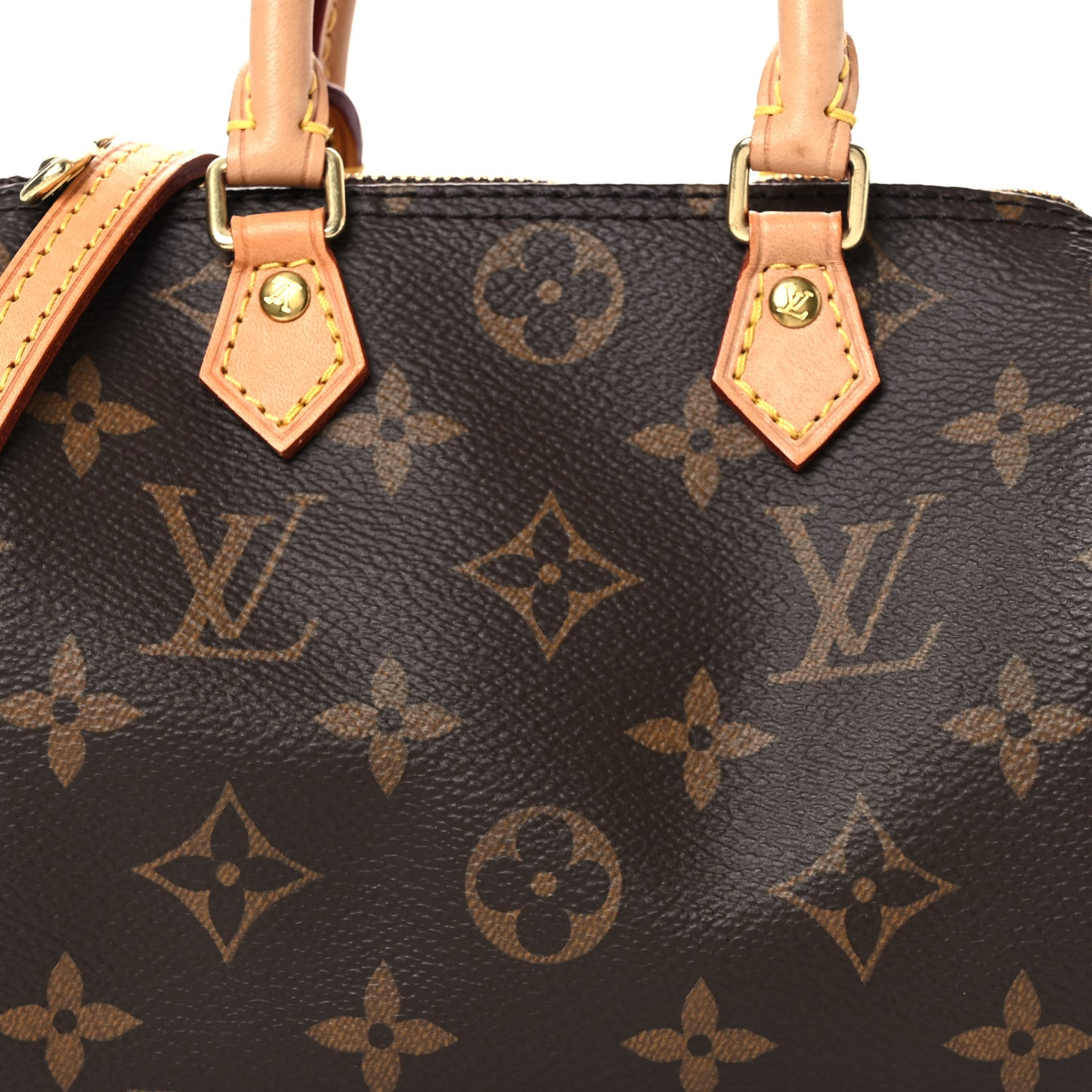 Monogram Nano Speedy