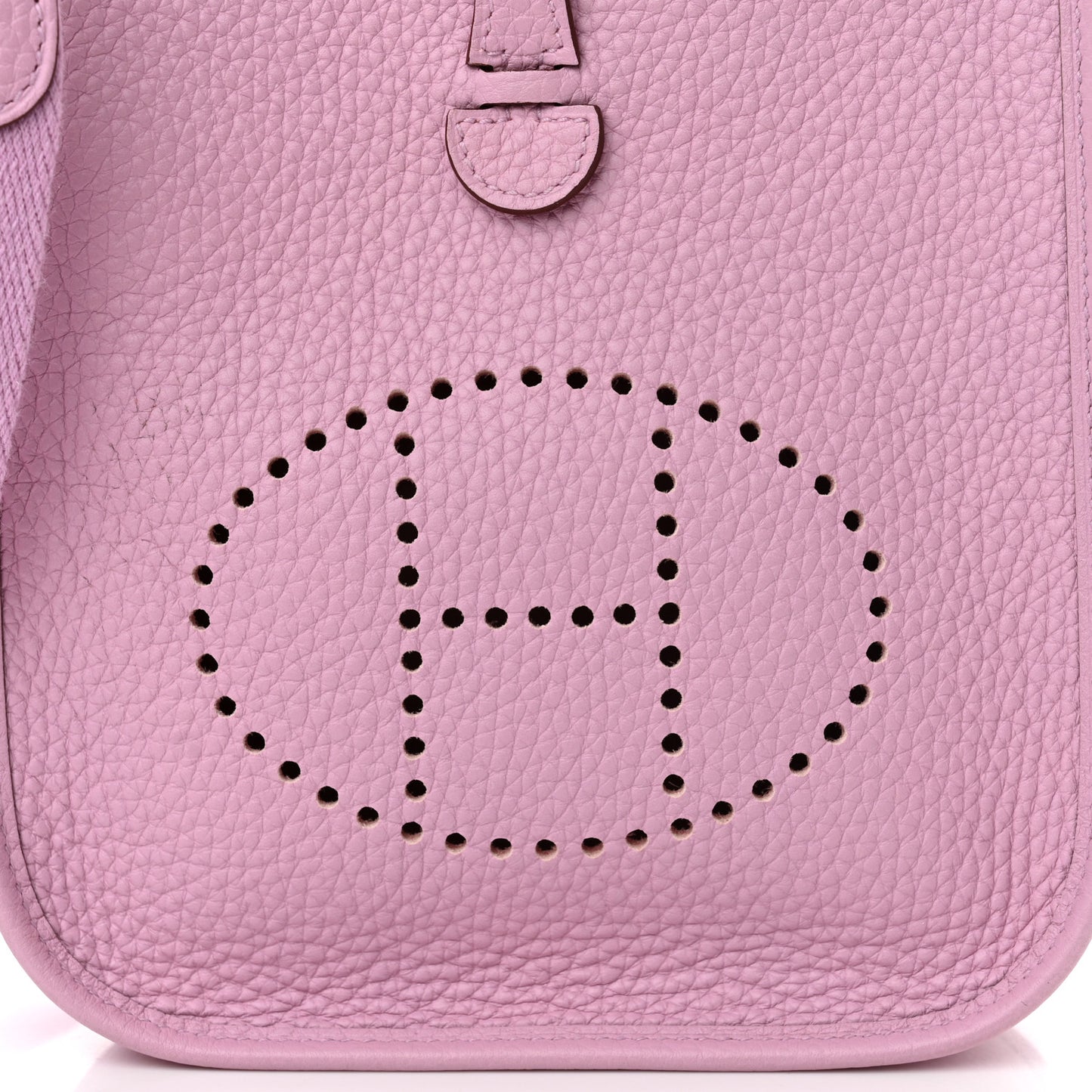Taurillon Clemence Evelyne TPM Mauve Sylvestre