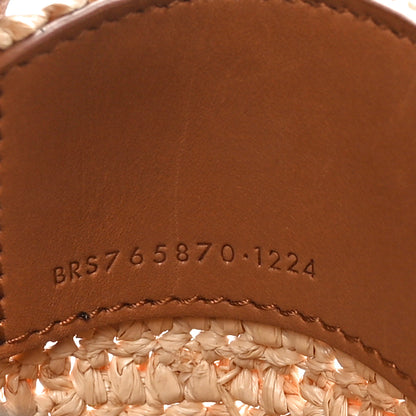 Saint Laurent Raffia Vegetable Tanned Calfskin Le 37 Mini Bucket Bag Natural Brick 7 of 10