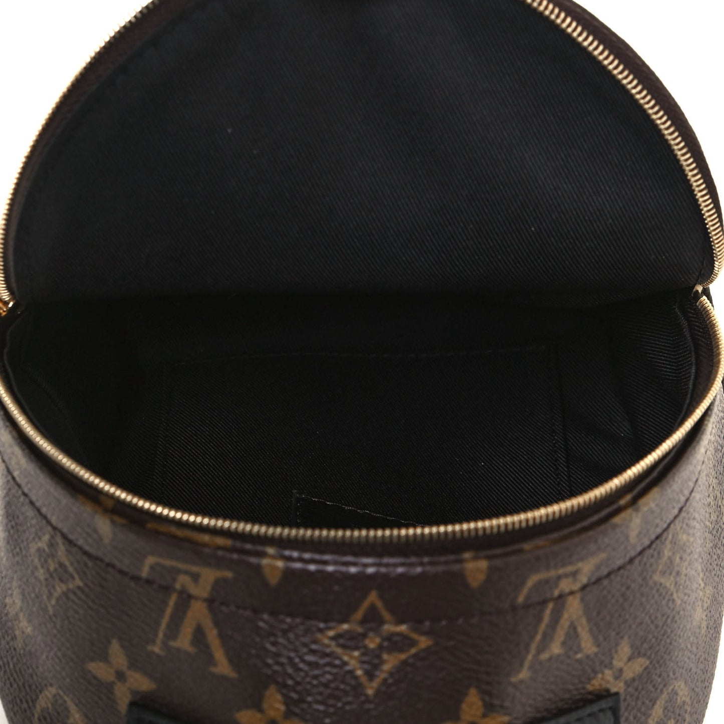 Monogram Palm Springs Backpack Mini