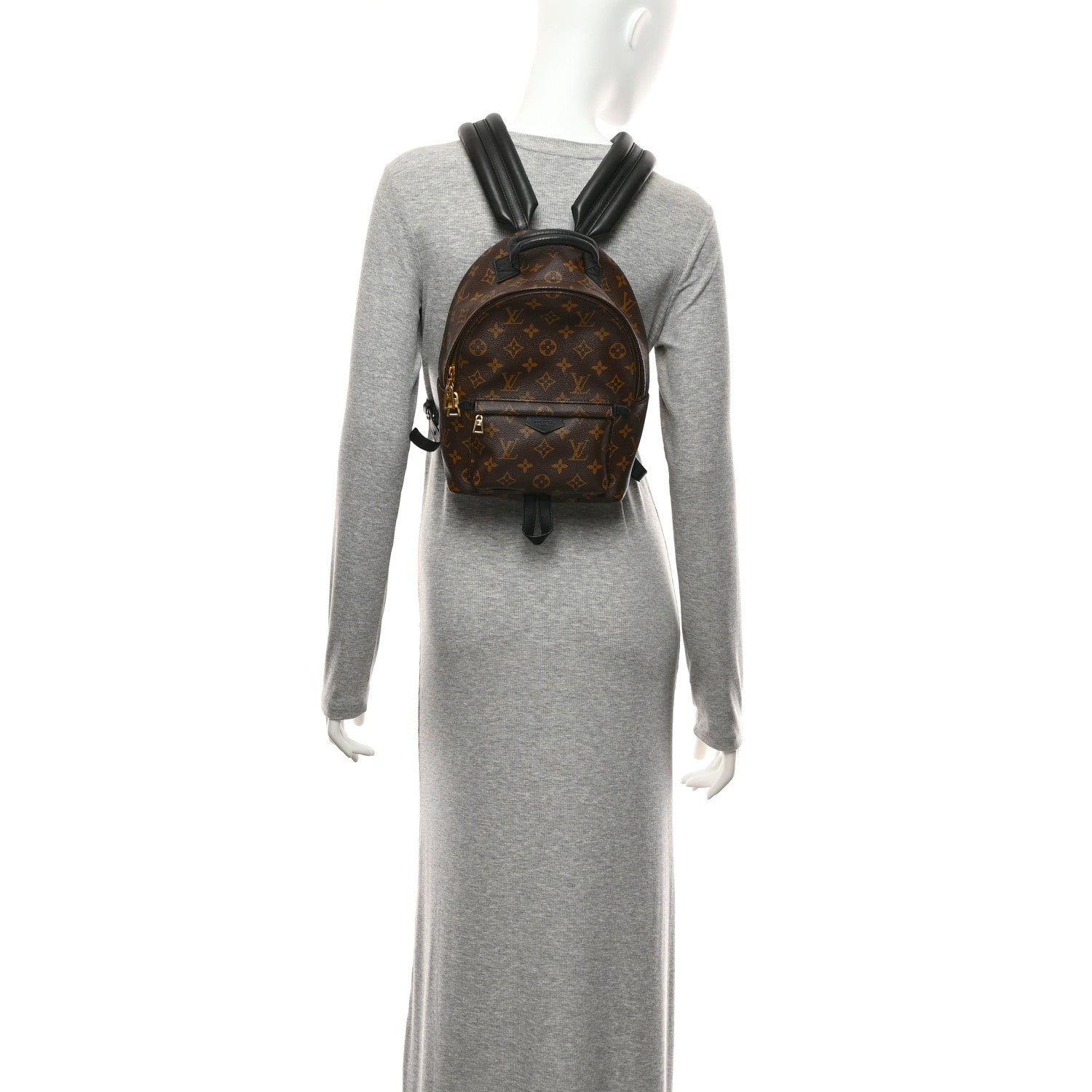 Louis Vuitton Monogram Palm Springs Backpack PM 2 of 10
