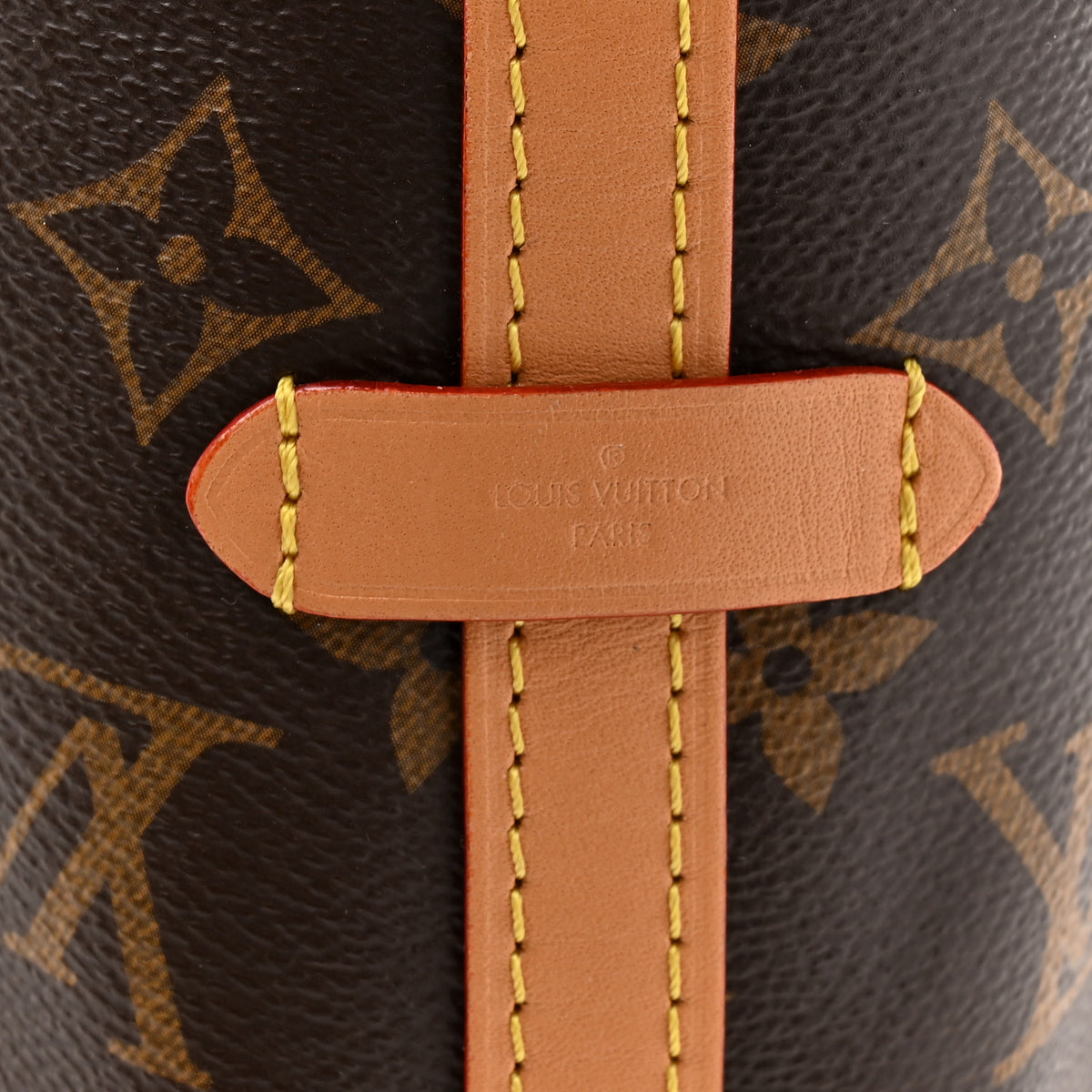 Monogram Carryall PM