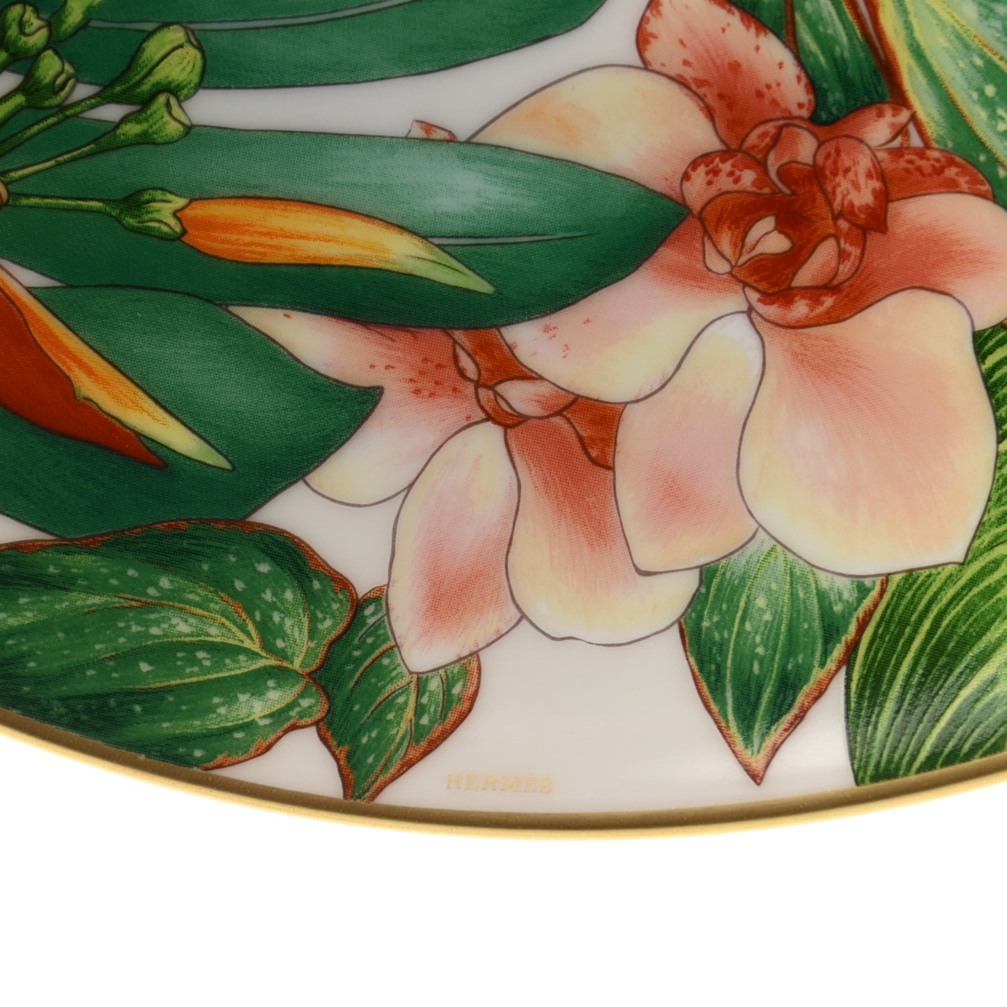 Porcelain Passifolia Dessert Plate N°2 Set of 2