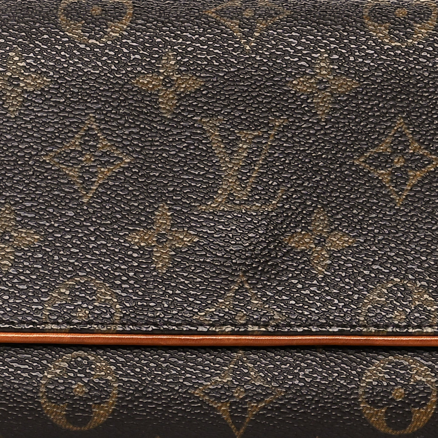 Monogram Pochette Twin GM