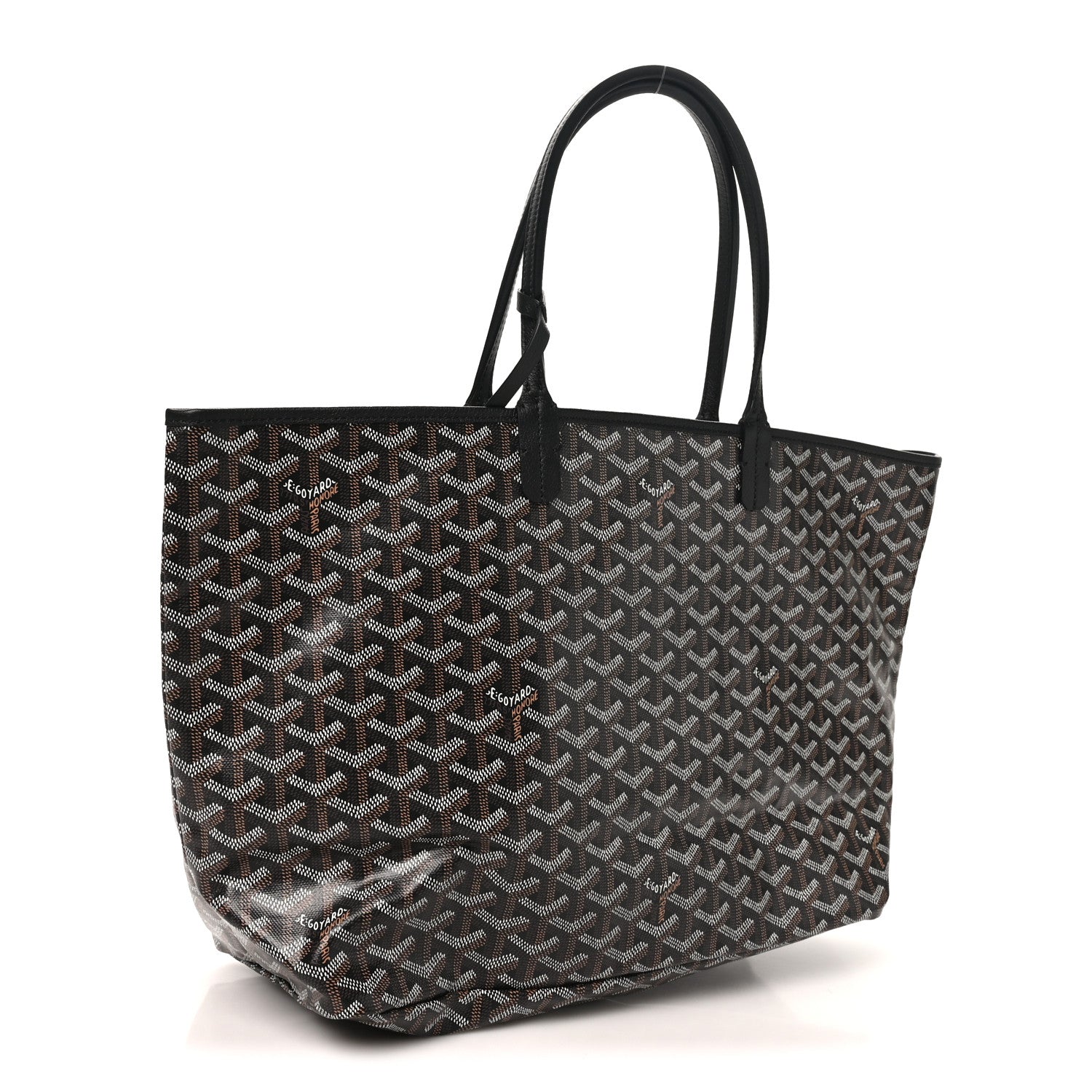 Goyard Goyardine Saint Louis PM Black 3 of 10