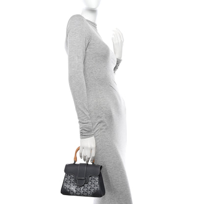 Goyard Goyardine Mini Saigon Grey 2 of 12