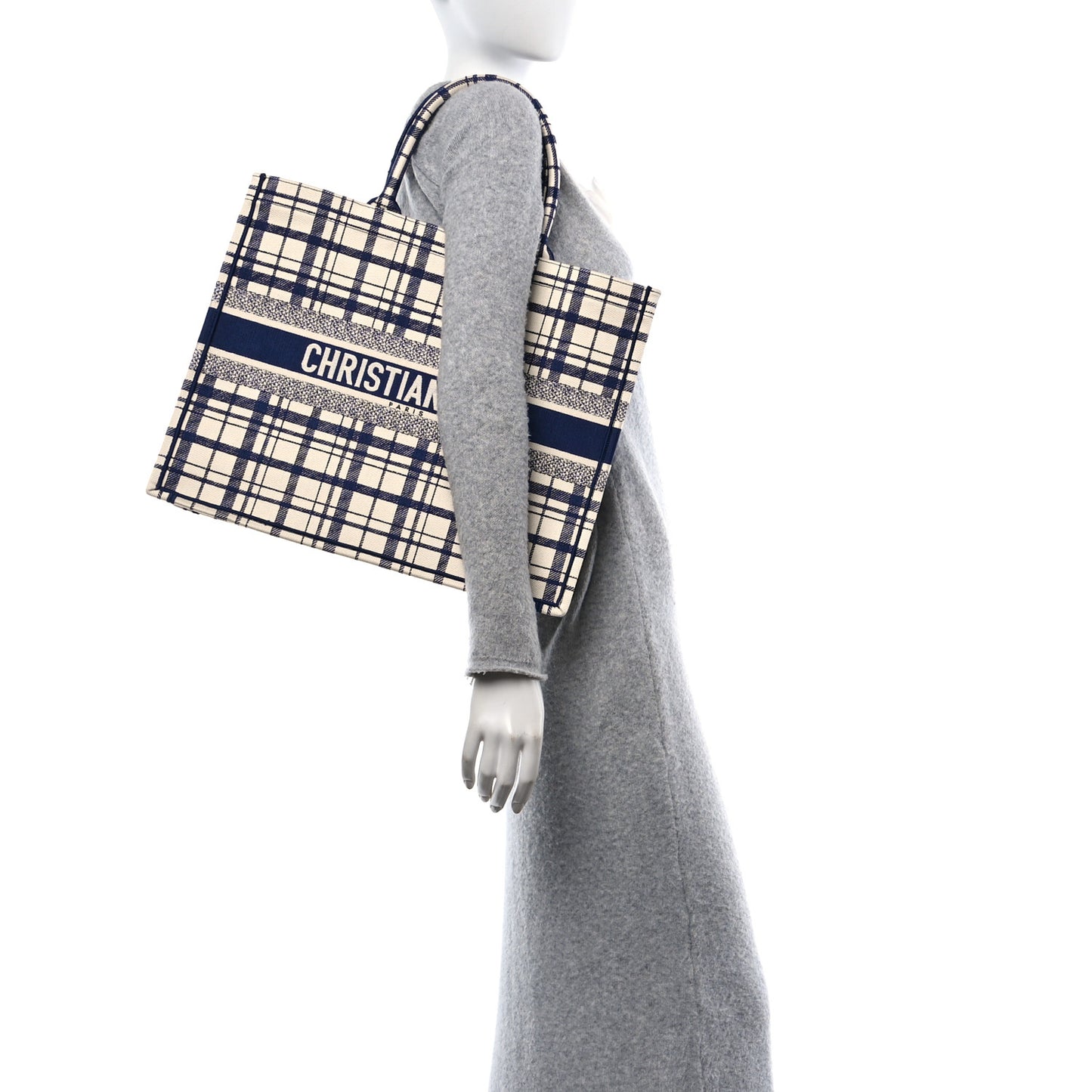 Canvas Embroidered Large Check'n'Dior Book Tote Blue