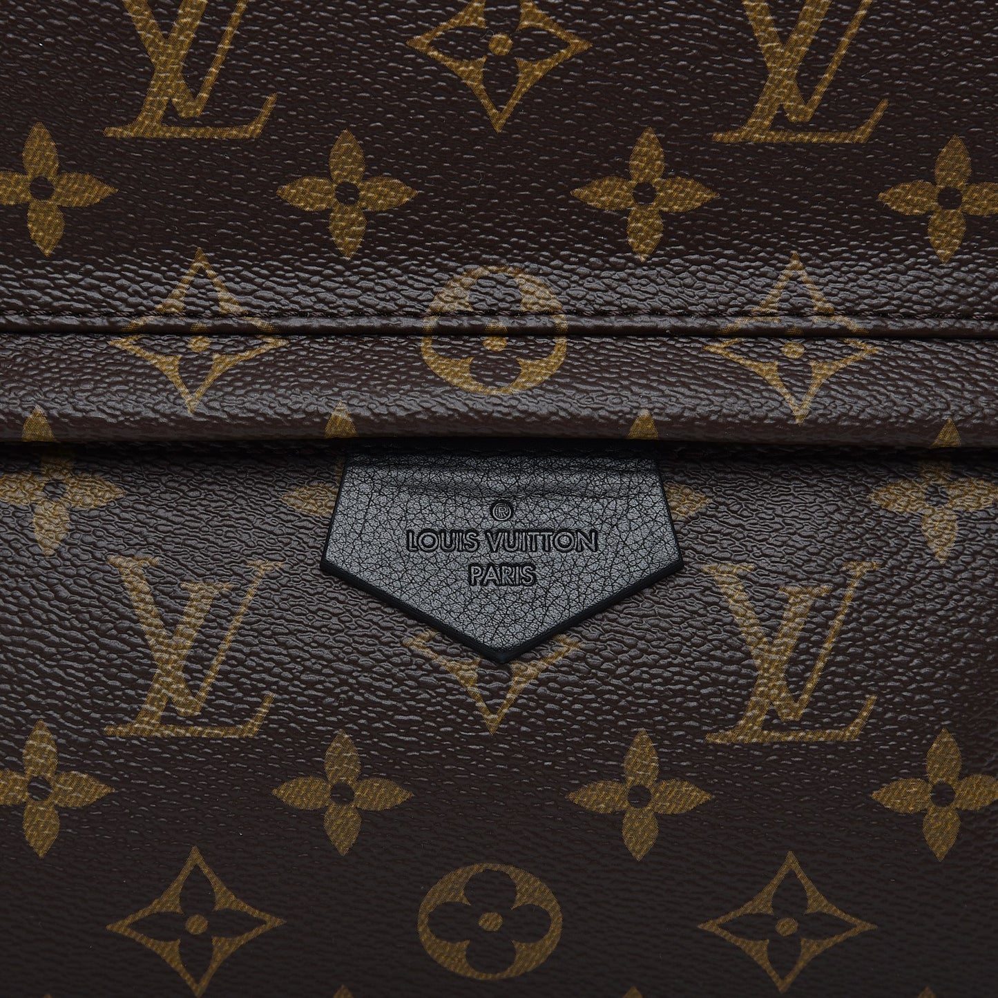 Monogram Palm Springs Backpack MM
