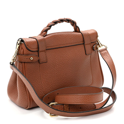Mulberry Heavy Grain Mini Alexa Chestnut 3 of 9