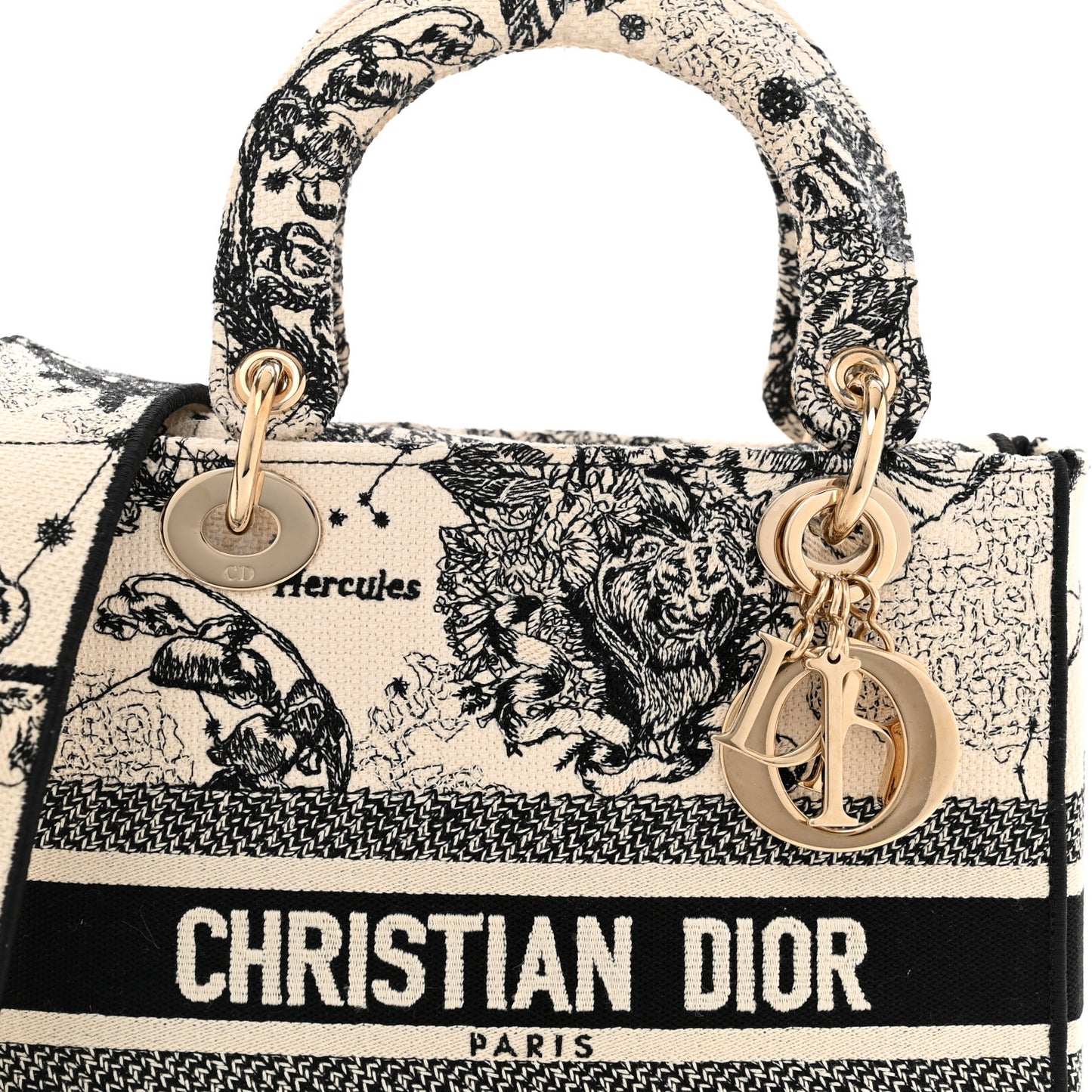 Canvas Embroidered Zodiac Toile De Jouy Medium Lady D-Lite Latte
