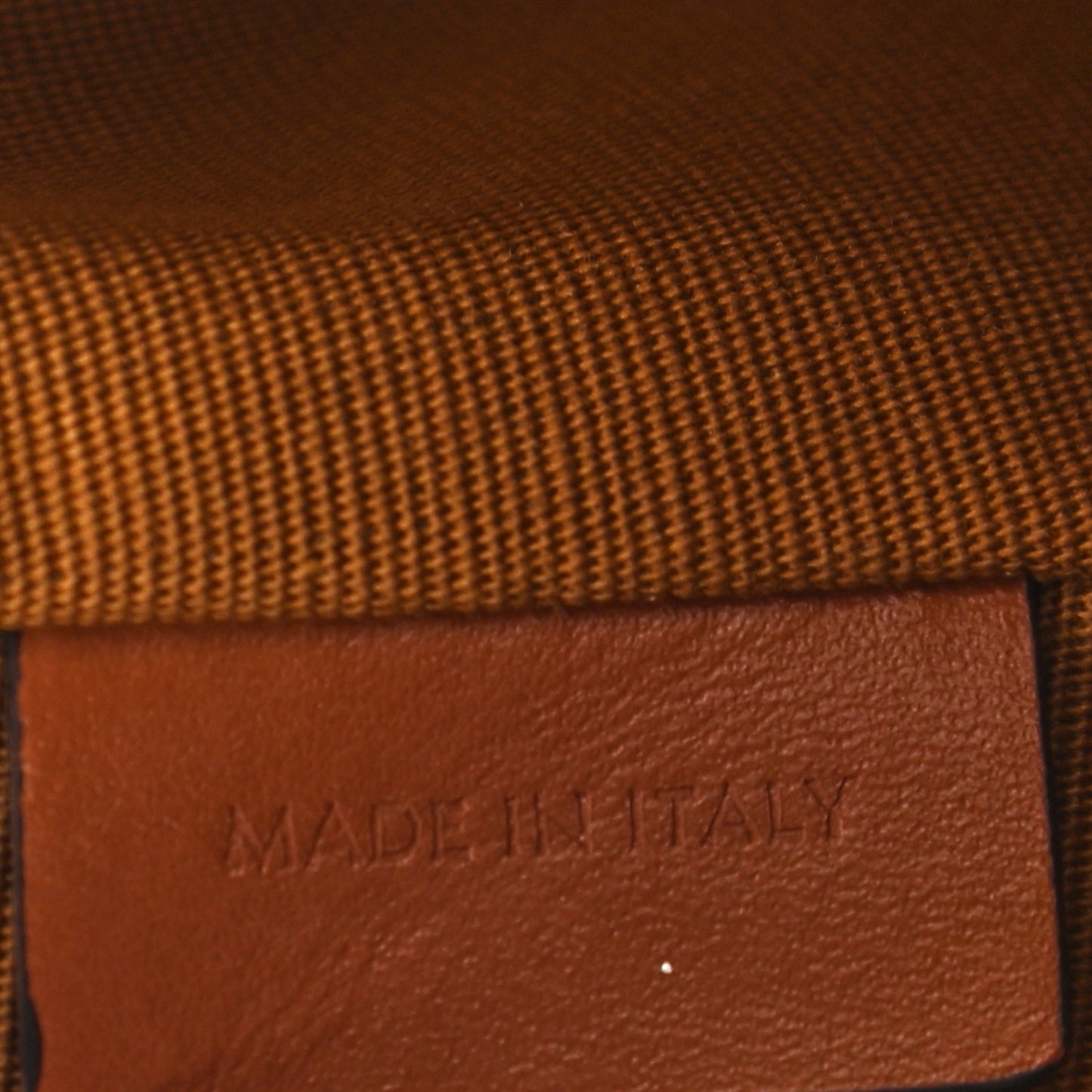 Triomphe Canvas Calfskin Ava Shoulder Bag Tan