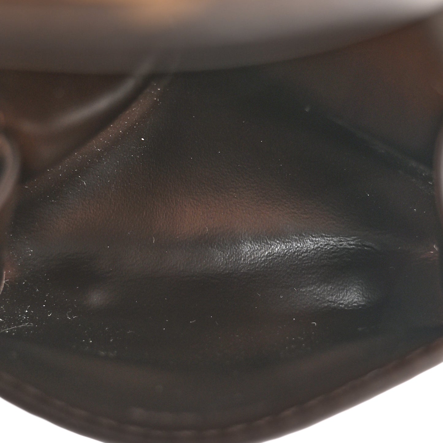 LV Monogram Cute Husky Pouch Earphones Case