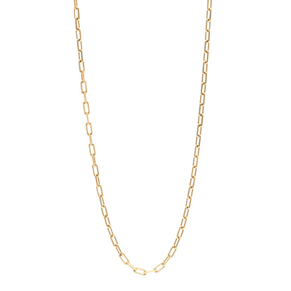 Cartier 18K Yellow Gold SM Santos De Cartier Link Necklace 1 of 4