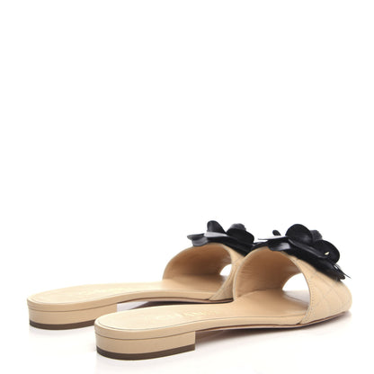 Chanel Lambskin Quilted Camellia CC Slides 37.5 Beige 4 of 11