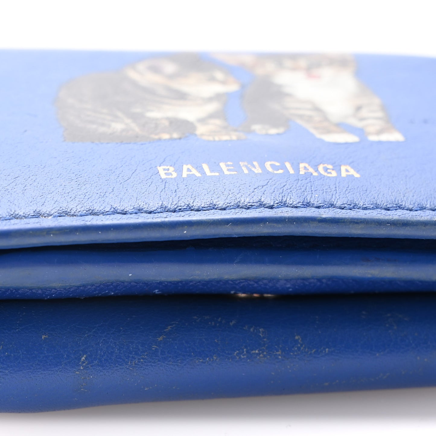 Calfskin Kittens Logo Wallet Electric Blue White