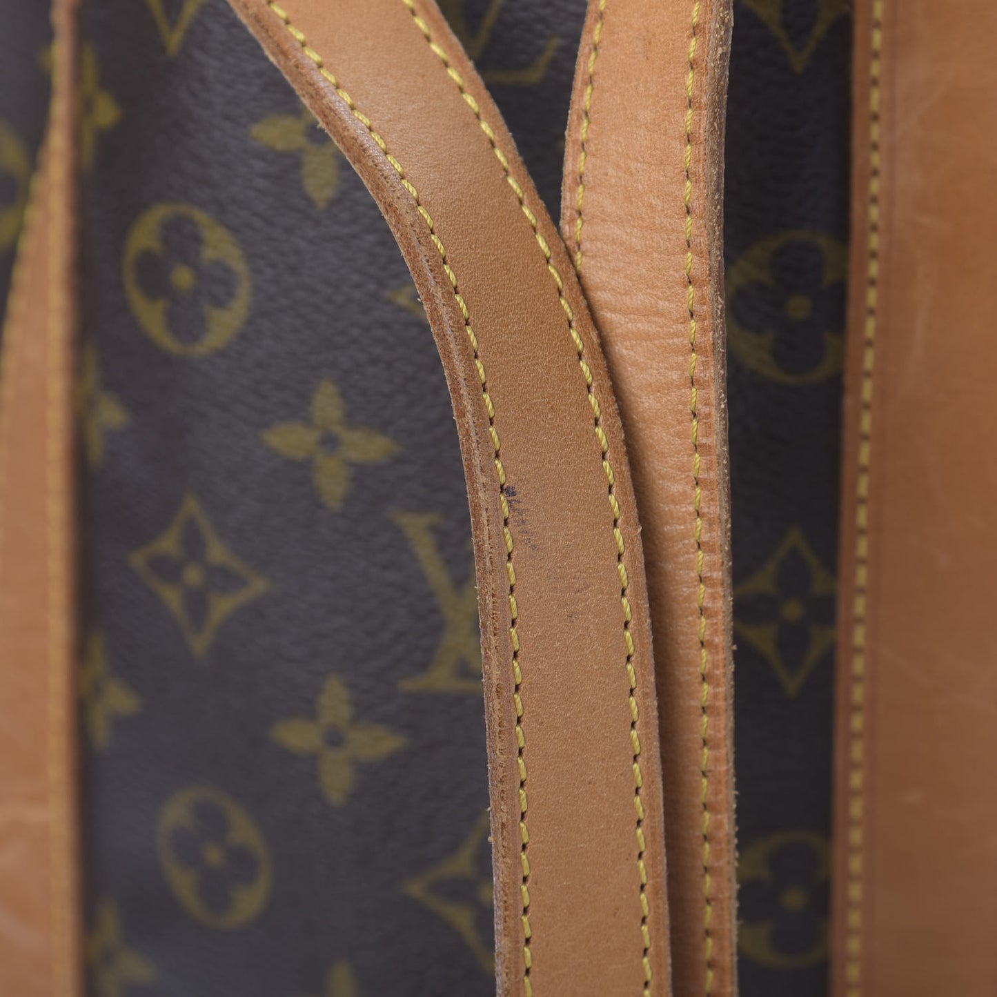 Monogram Randonnee GM Backpack