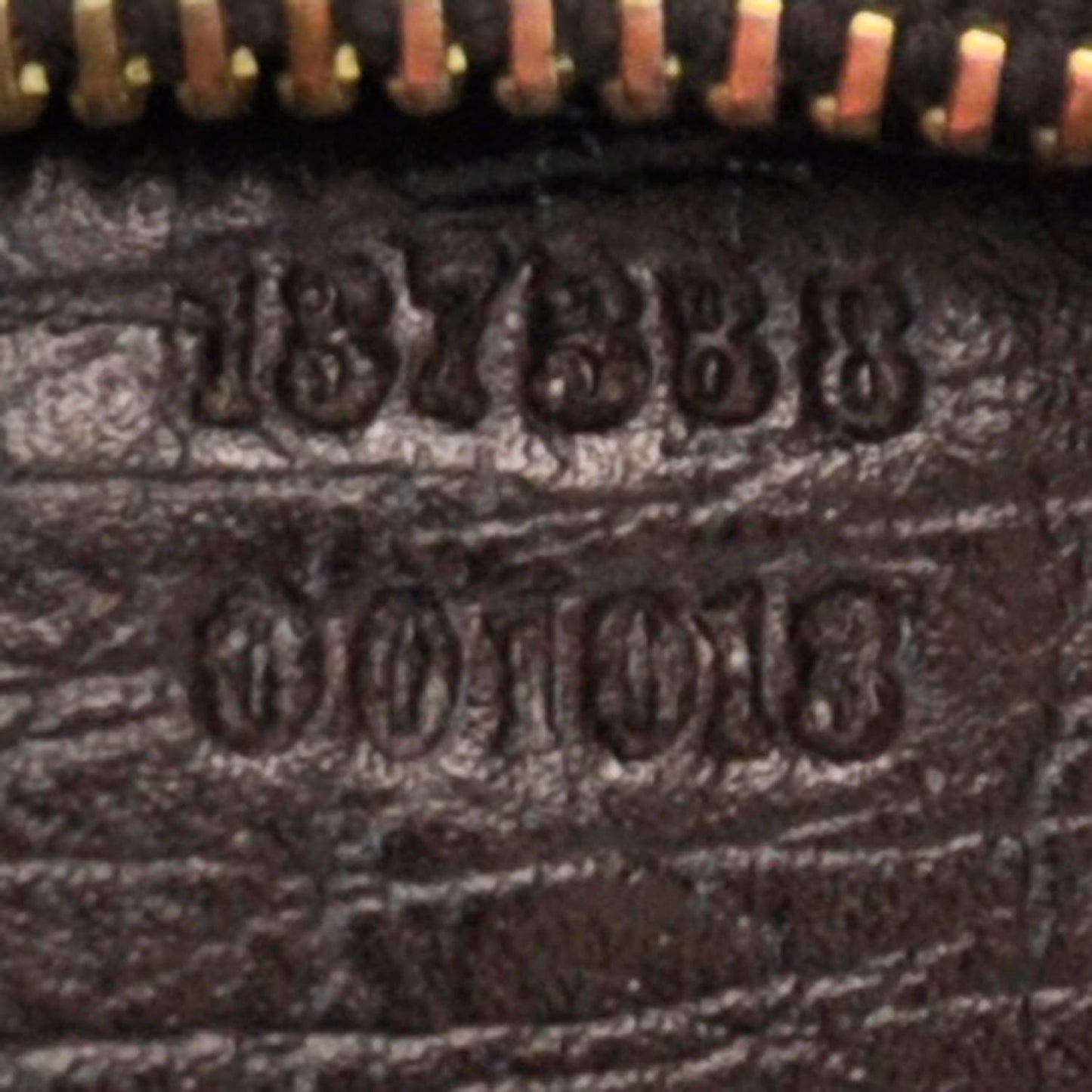 Monogram Hasler Shoulder Bag Ebony