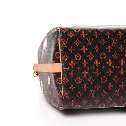 Louis Vuitton Catogram Speedy Bandouliere 30 Marron 7 of 9