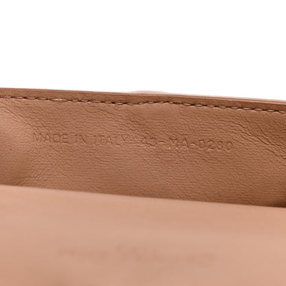 Christian Dior Ultra Matte Calfskin Nano Saddle Chain Pouch Rose Des Vents 6 of 9