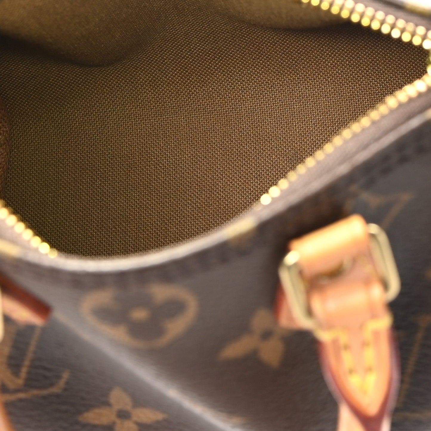 Monogram Nano Speedy