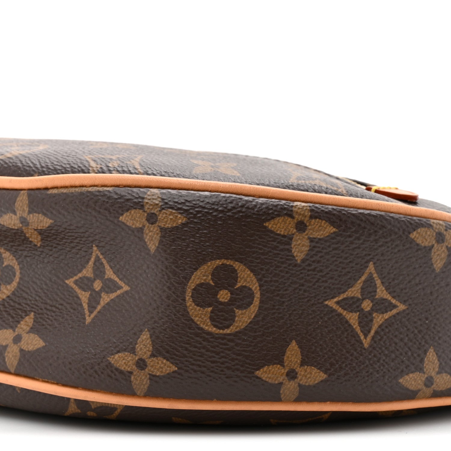 Louis Vuitton Monogram Loop 8 of 13