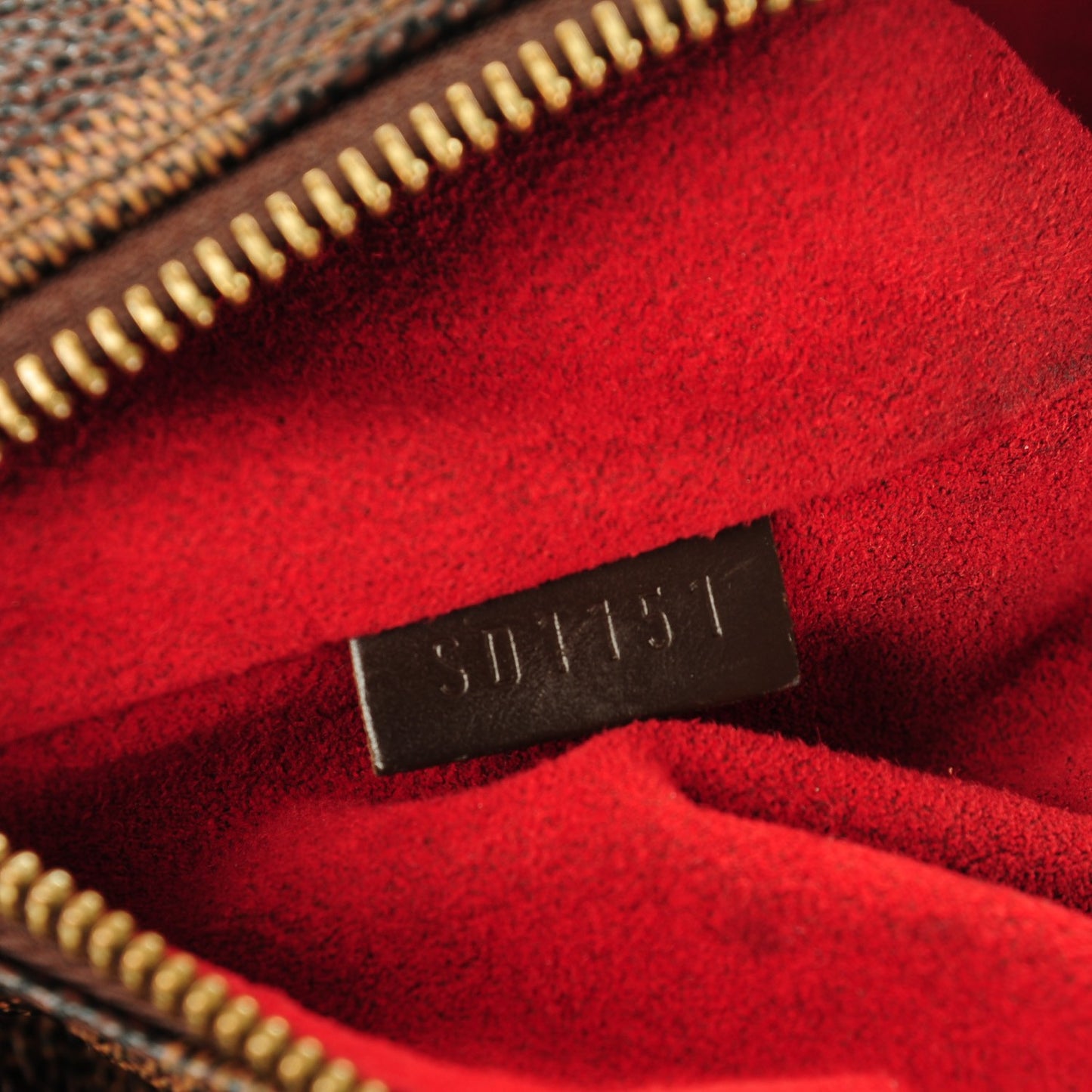 Damier Ebene Evora MM