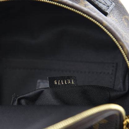 Louis Vuitton Monogram Palm Springs Backpack Mini 11 of 13