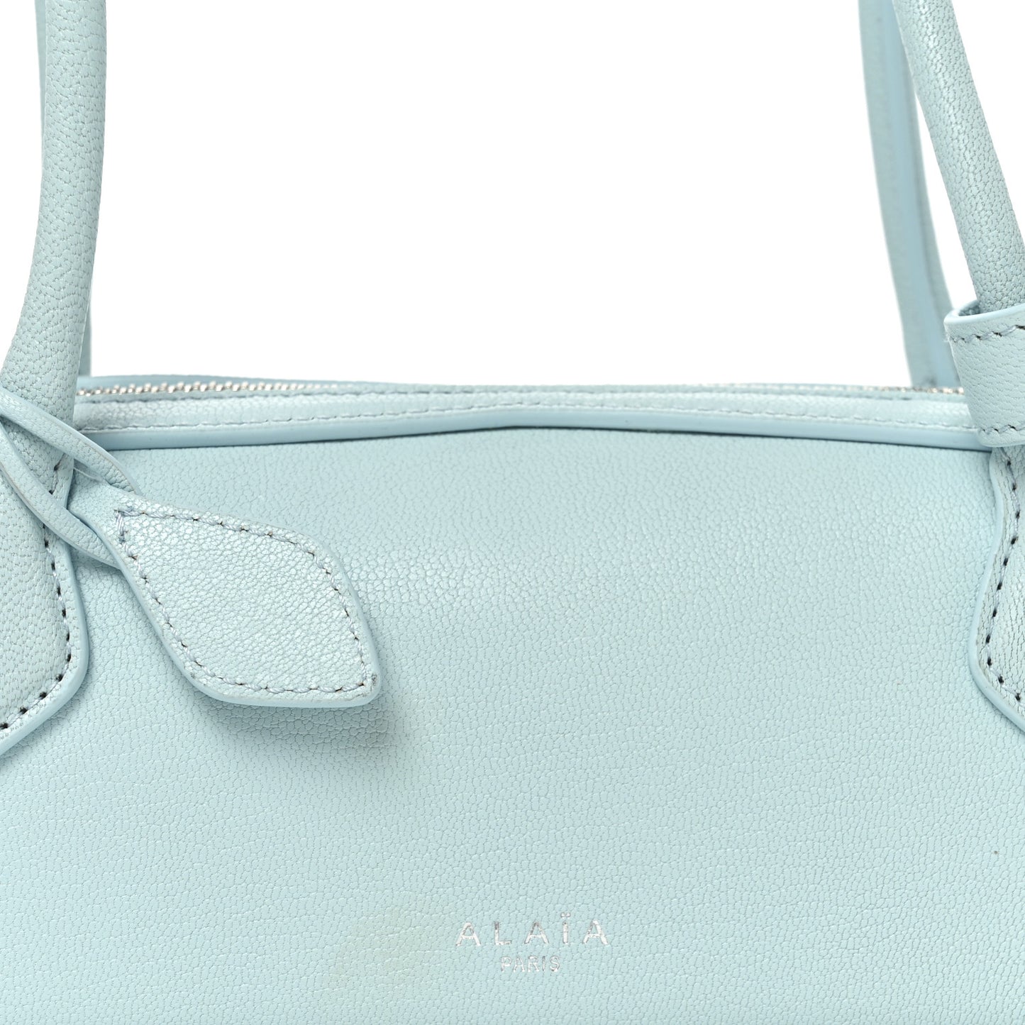 Goatskin Small Le Teckel Bag Sky Blue