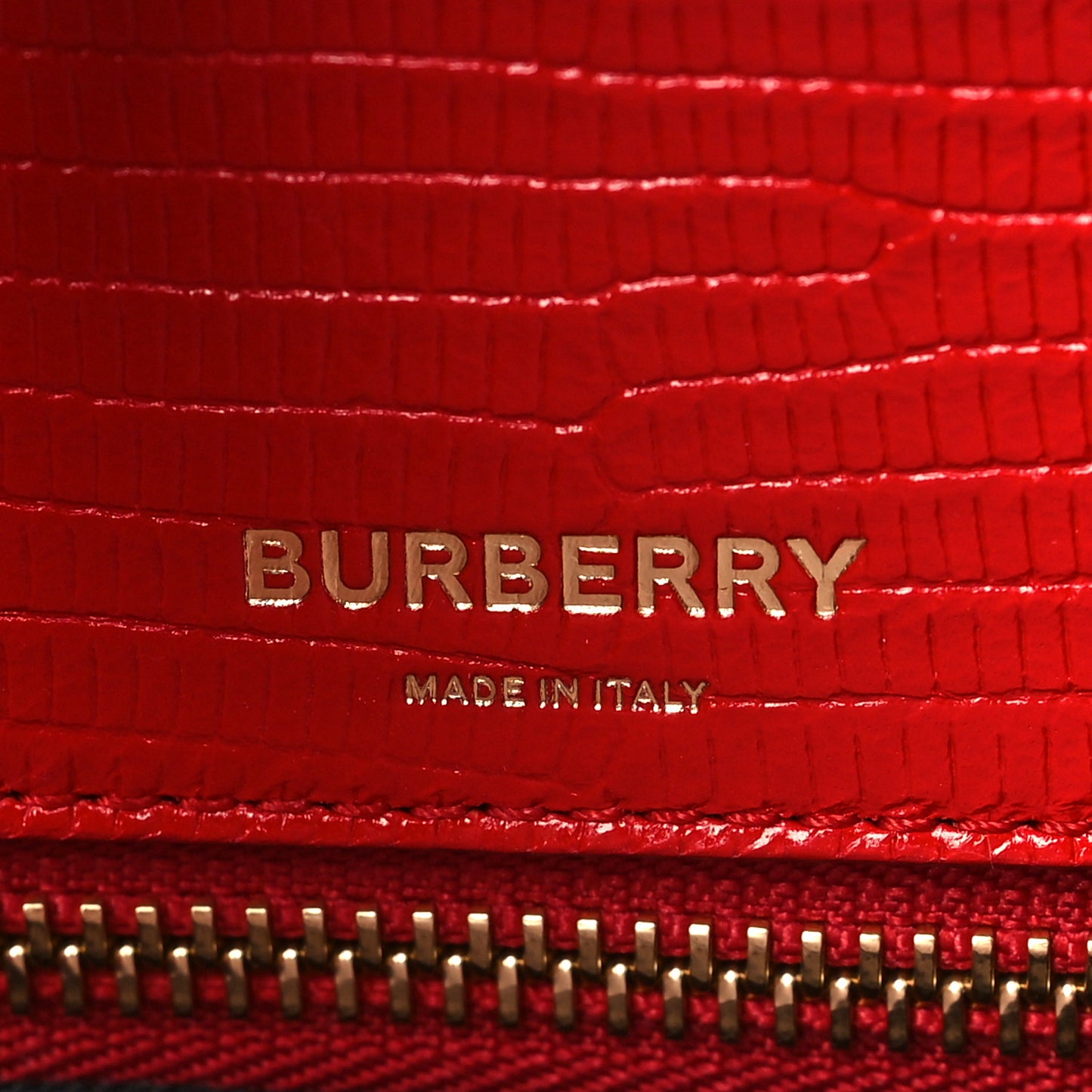 Calfskin Lizard Embossed Medium Title Tote Red