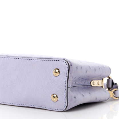 Louis Vuitton Ostrich Capucines Mini Grey 9 of 11