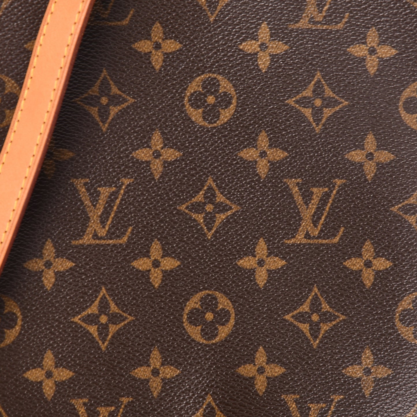 Monogram Musette Salsa