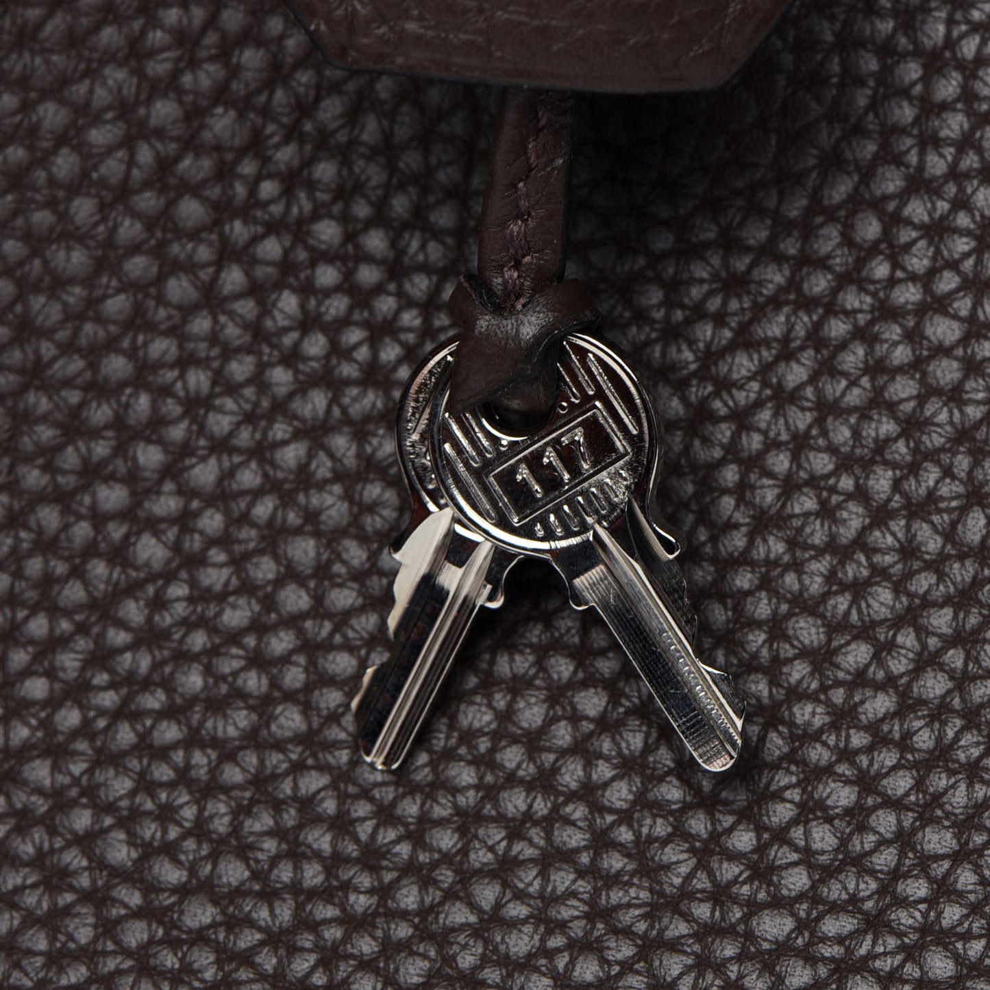 Taurillon Clemence Kelly Retourne 35 Chocolate