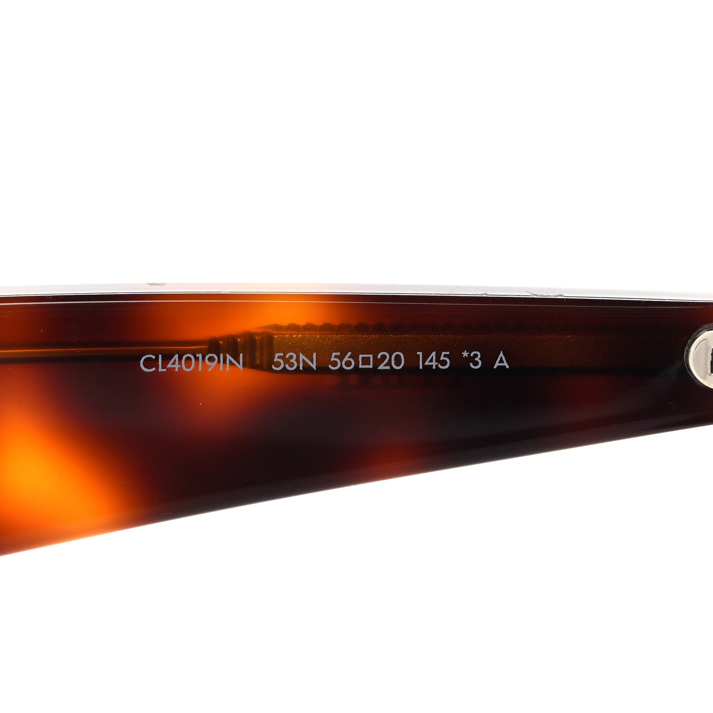 Acetate Cat Eye Sunglasses CL4019IN Tortoise