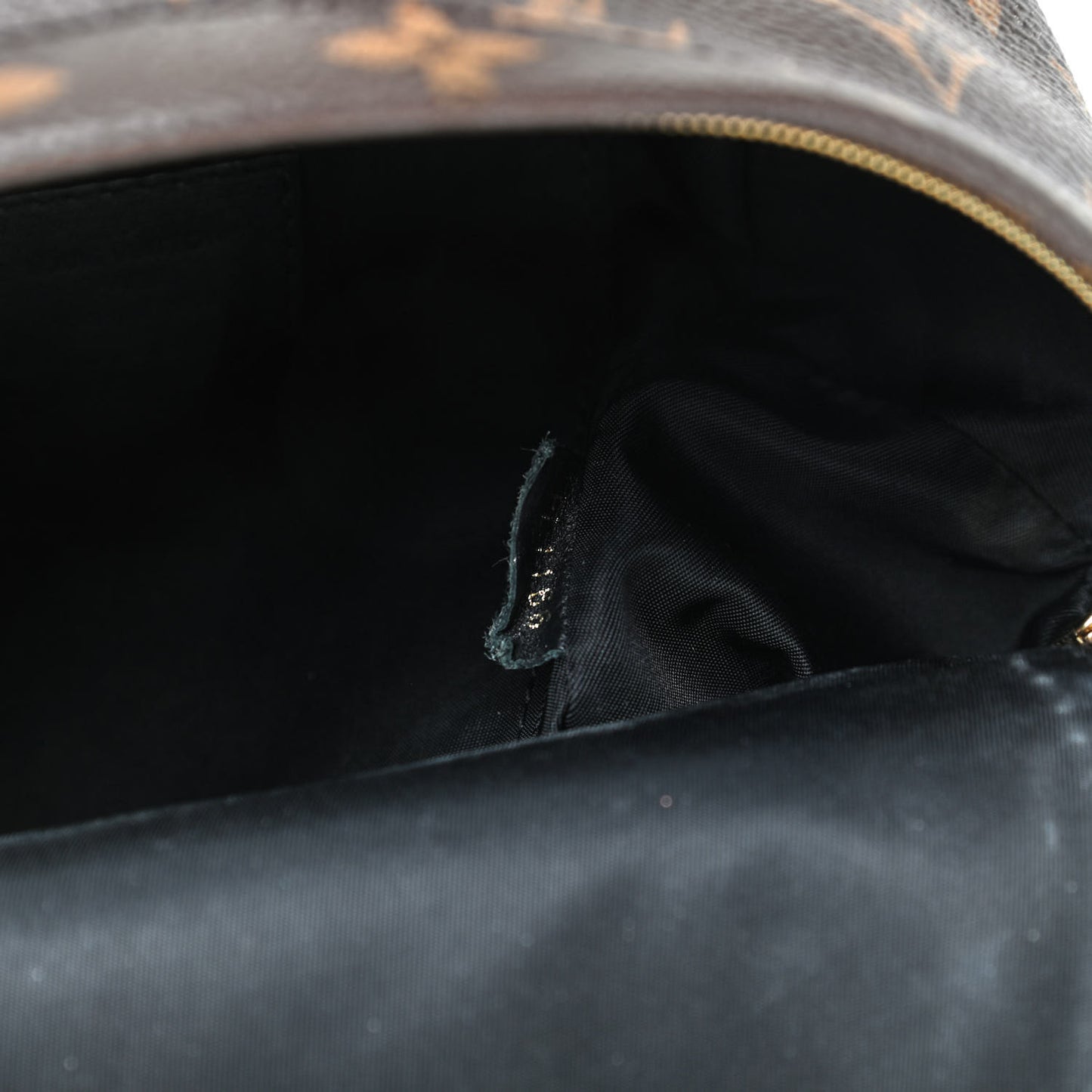 Monogram Palm Springs Backpack Mini