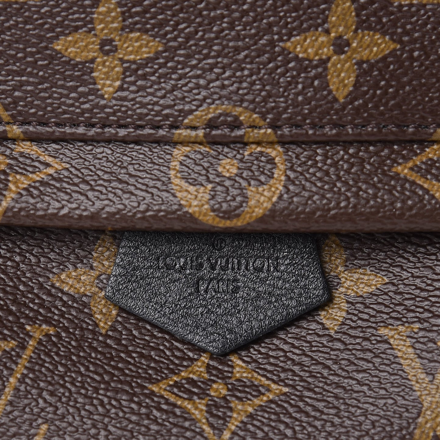 Monogram Palm Springs Backpack Mini