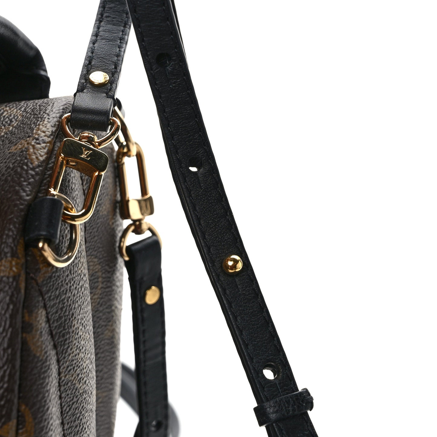 Monogram Palm Springs Backpack Mini