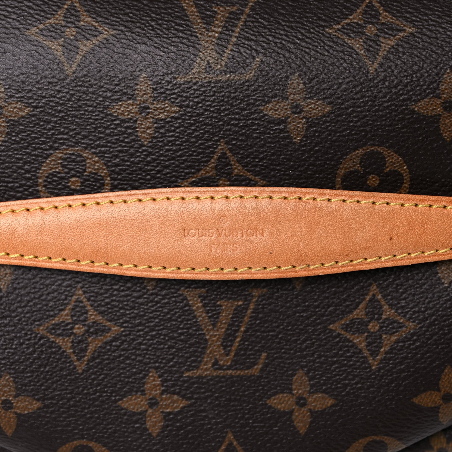 Louis Vuitton Monogram Bumbag 12 of 20