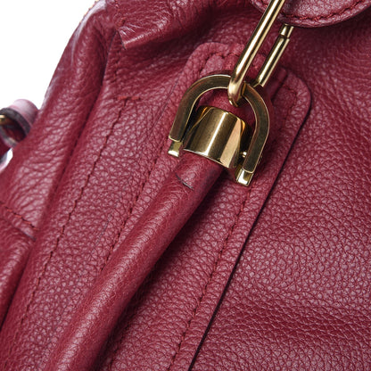 Chloe Calfskin Small Paraty Berry Cupcake 9 of 12