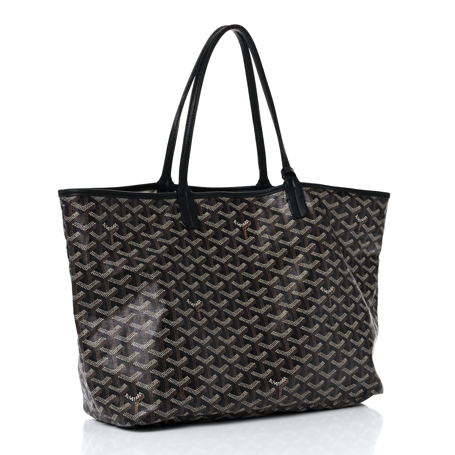 Goyard Goyardine Saint Louis PM Black 3 of 19