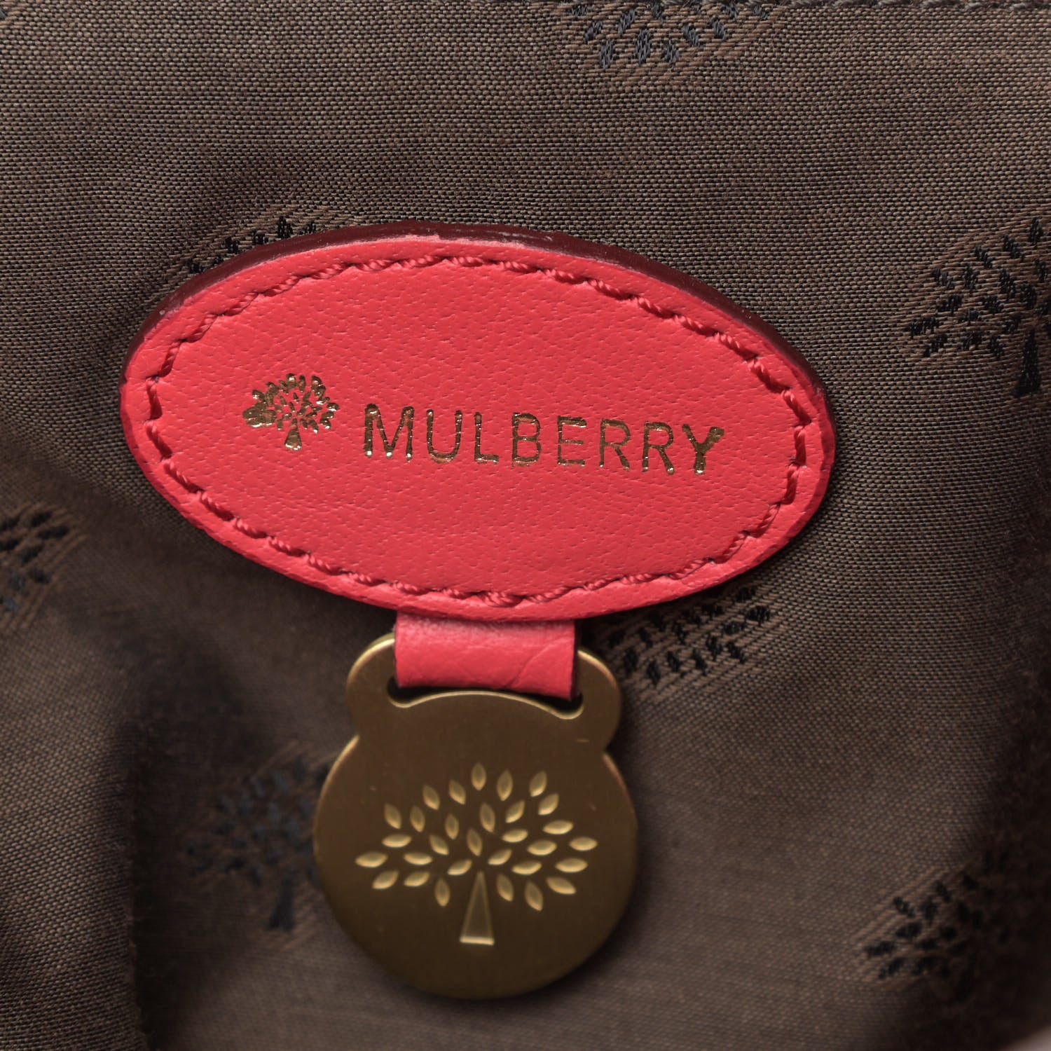 Mulberry Soft Buffalo Oversized Alexa Watermelon 5 of 8