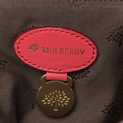 Mulberry Soft Buffalo Oversized Alexa Watermelon 5 of 8