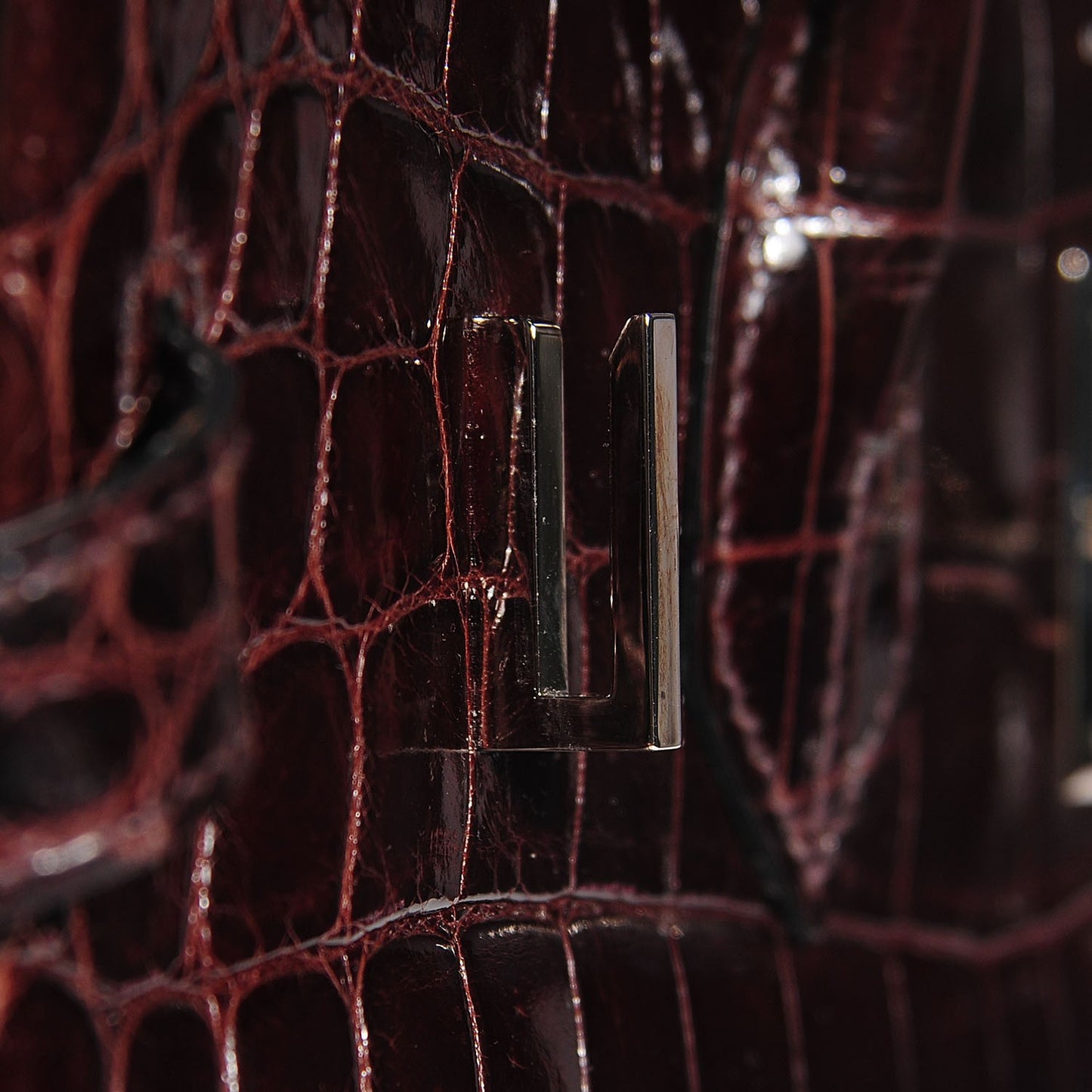 Shiny Niloticus Crocodile Birkin 30 Chocolate