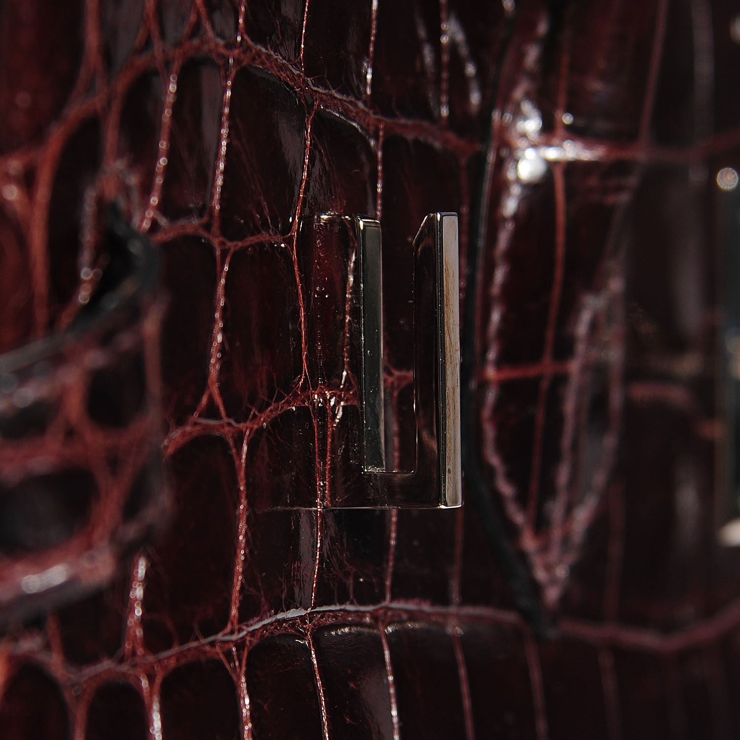 Hermes Shiny Niloticus Crocodile Birkin 30 Chocolate 16 of 25