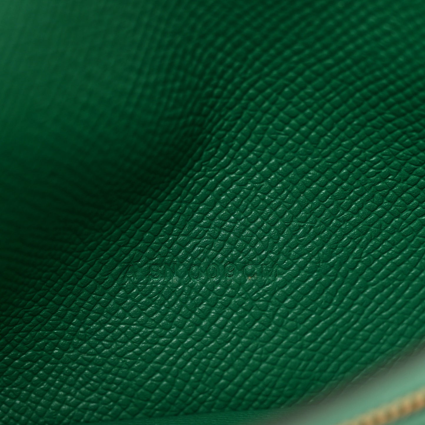 Epsom Bearn Gusset Wallet Vert Bengale