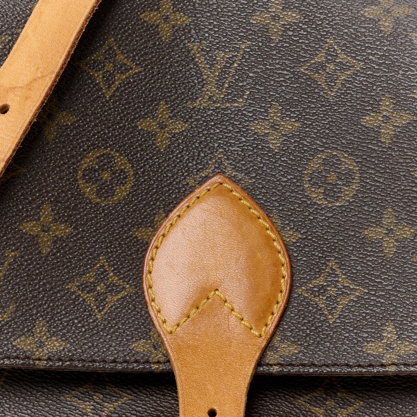 Monogram Cartouchiere 22