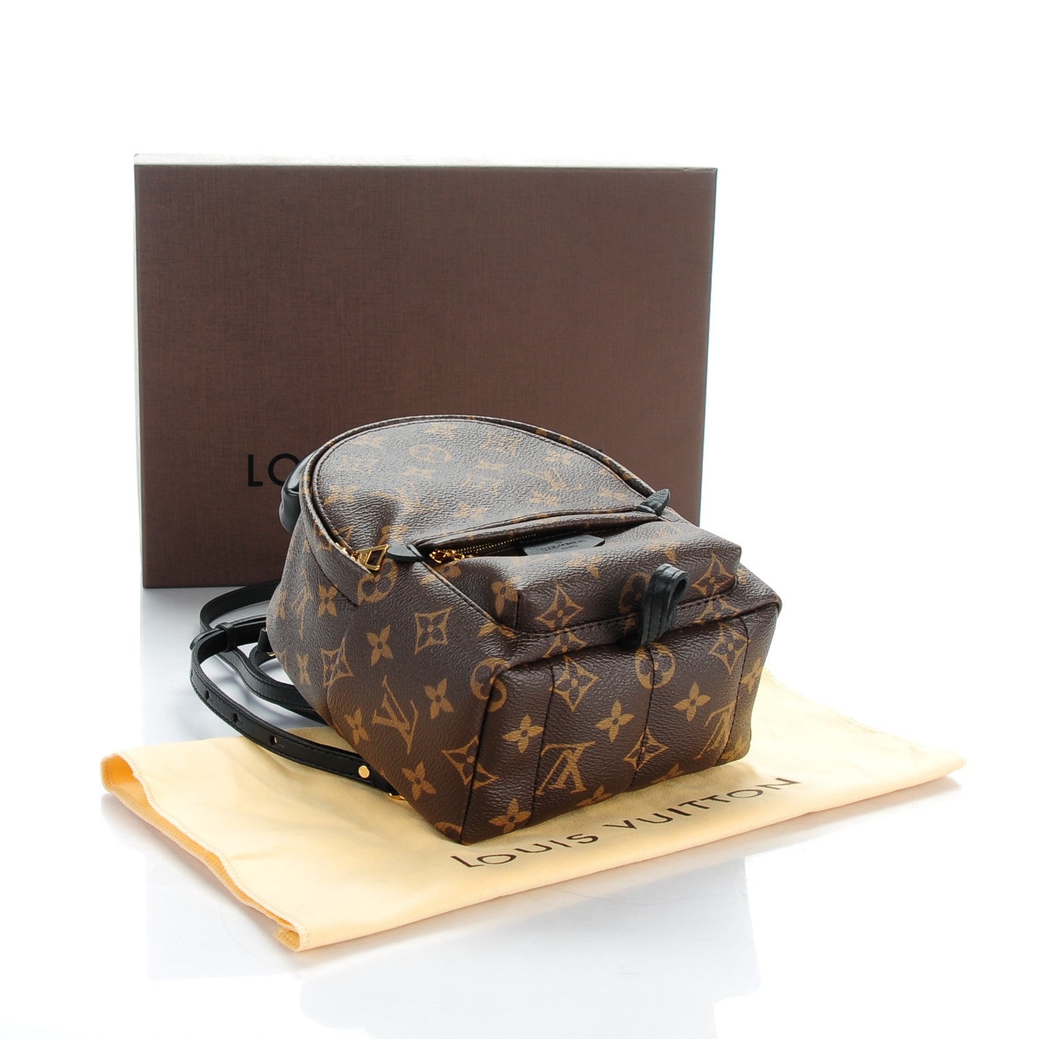 Louis Vuitton Monogram Palm Springs Backpack Mini 4 of 6