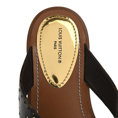 Louis Vuitton Monogram Sunny Flat Thong Sandals 37 Brown 7 of 9